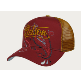  Lippalakki Stetson Trucker Cap Paisley