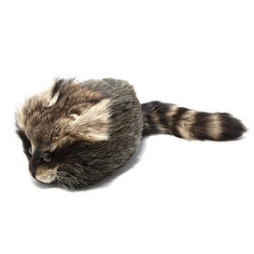 Daniel Boone Cap Pesukarhun naamalla