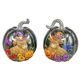   Halloween koristekurpitsa Highland musta 21,5cm