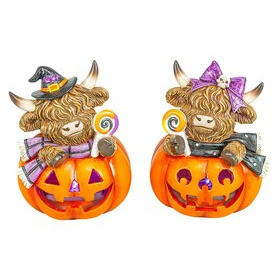   Halloween koristekurpitsa valolla Highland 13 cm