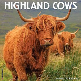 Highland Cows kalenteri 2027