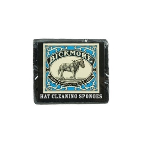 Hatun puhdistussieni