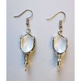 Isot kannus korvakorut