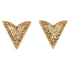 Kaulusklipsi - kolmiväri kotka