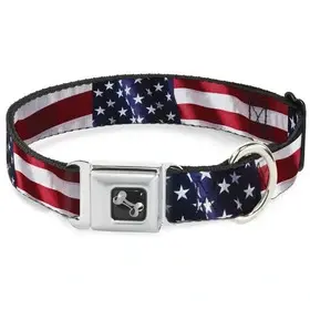 Koiran kaulapanta American Flag