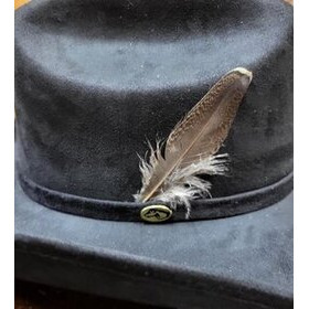 Koristesulka Hattuun, Metsäkana