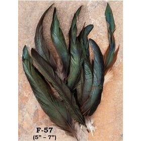 Koristesulka Hattuun, tumman vihreä