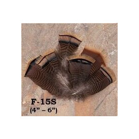 Koristesulka Hattuun, ruskea kuviollinen