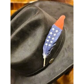 Koristesulka Hattuun - USA Colours