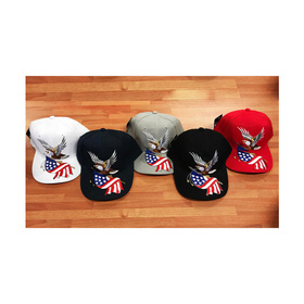 Lippalakki American Eagle