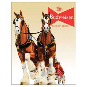 Peltikyltti BUDWEISER