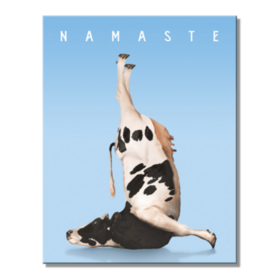 Peltikyltti - Yoga Cow