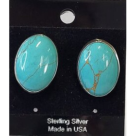 Thunder Creek Turquoise -korvakorut