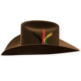   Stetson Rancher 160th Edition 6X