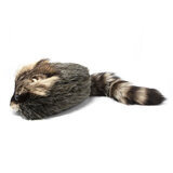 Daniel Boone Cap Pesukarhun naamalla