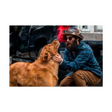 Filson Alaskan Guide -flanellipaita (siniharmaa)