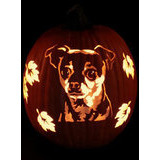 Fun-Kins kaiverrettava kurpitsa 28 cm /  11"