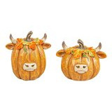   Halloween koristekurpitsa Highland