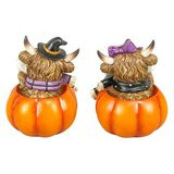   Halloween koristekurpitsa valolla Highland 13 cm