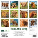 Highland Cows kalenteri 2027