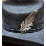 Koristesulka Hattuun, Metsäkana