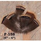 Koristesulka Hattuun, ruskea kuviollinen