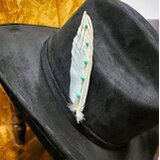 Vaale Koristesulka Hattuun turkooseilla kivillä