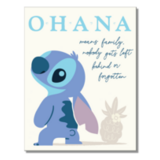 Peltikyltti Ohana