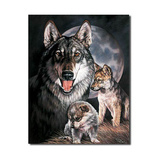Peltikyltti Wolf