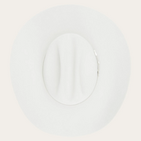  Stetson Skyline Silver Gray 6X