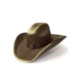 Suede Finish Sunburst, ruskea -westernhattu