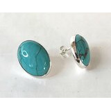 Thunder Creek Turquoise -korvakorut