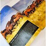  Western Horseman -lehti (Jan2026)