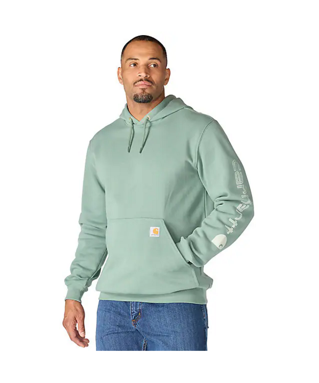  Carhartt Iconic K288 Logo huppari Vihreä