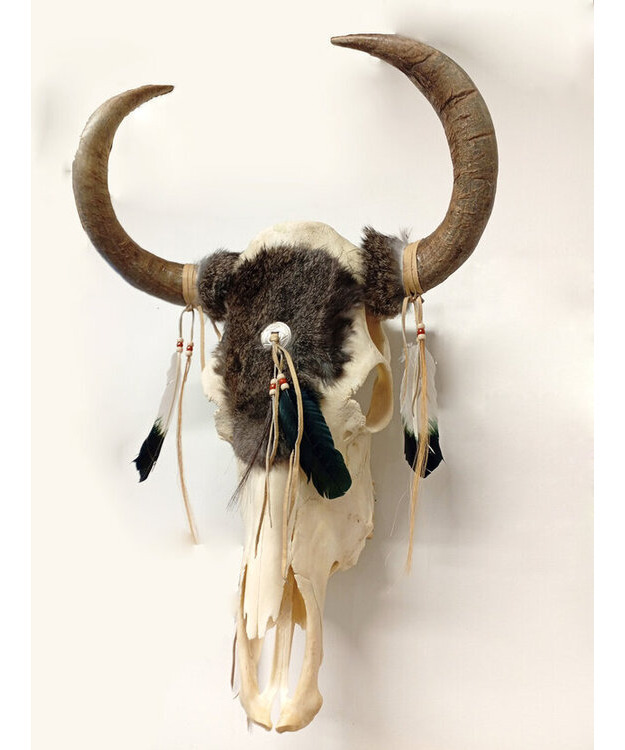 Aito lehmän kallo -seinäkoriste