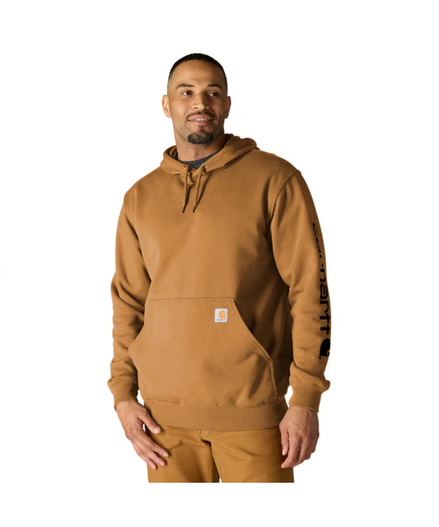 Carhartt Iconic K288 Logo huppari Ruskea