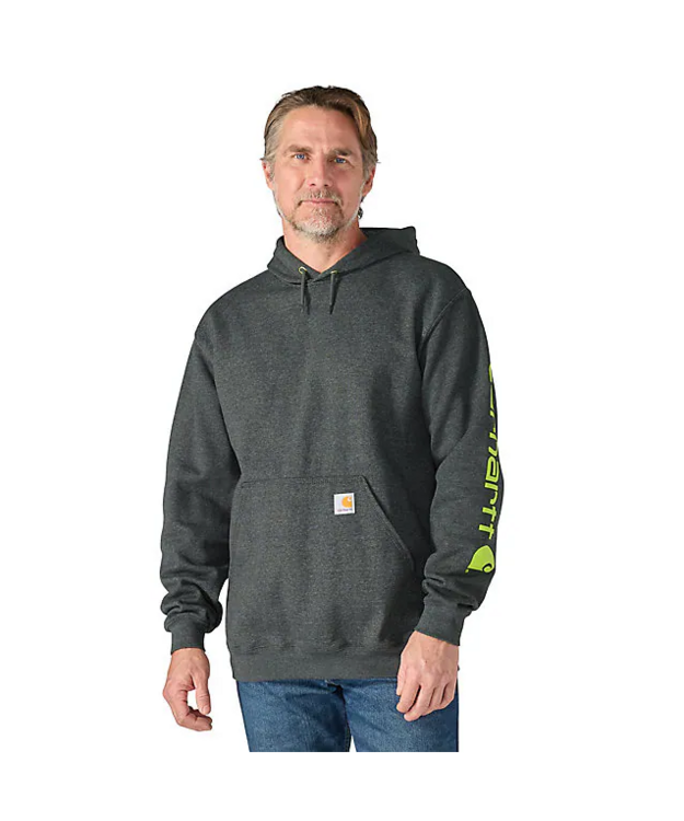 Carhartt Iconic K288 Logo huppari harmaa