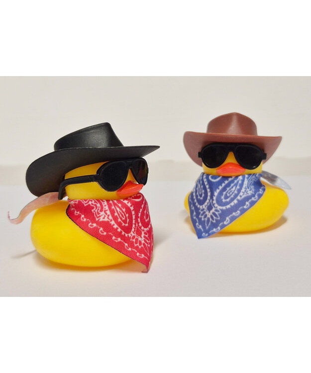 Cowboy kumiankka