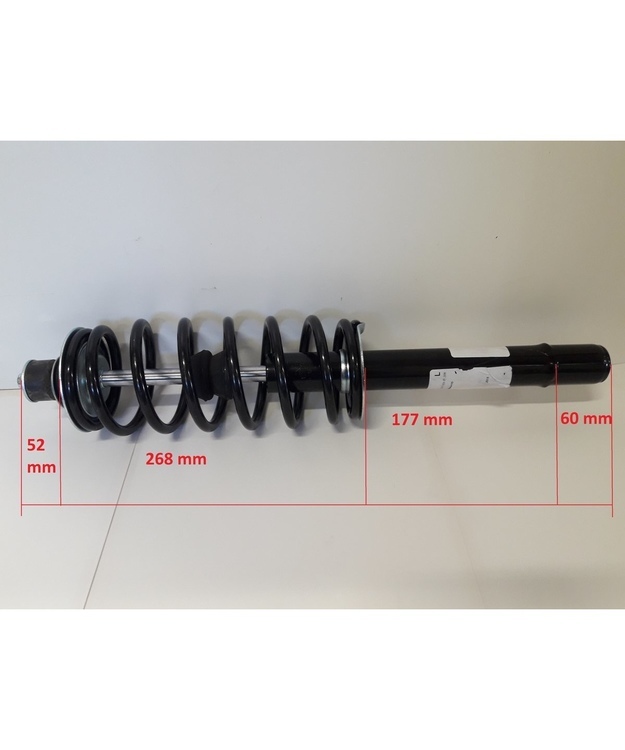 Etuiskunvaimennin Ligier IXO Lombardini DCI/Progress V2