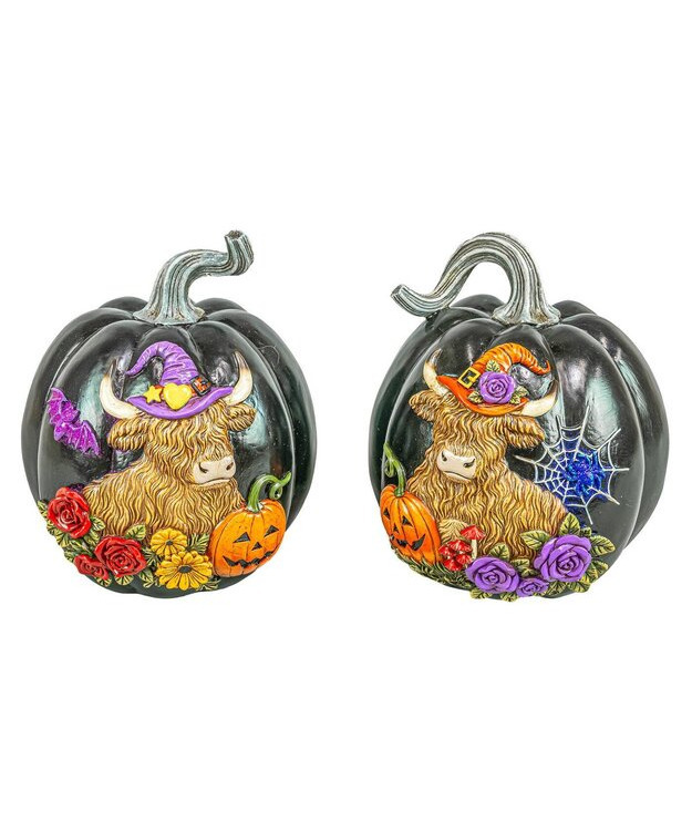   Halloween koristekurpitsa Highland musta 21,5cm