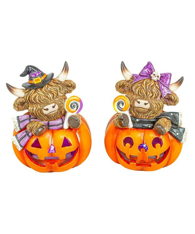   Halloween koristekurpitsa valolla Highland 13 cm