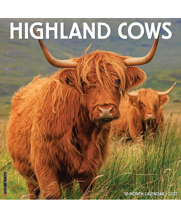 Highland Cows kalenteri 2027