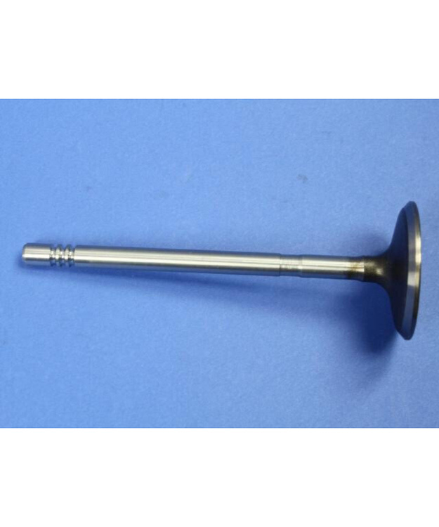 Imuventtiili Mopar 2.4 L4 2001-2010