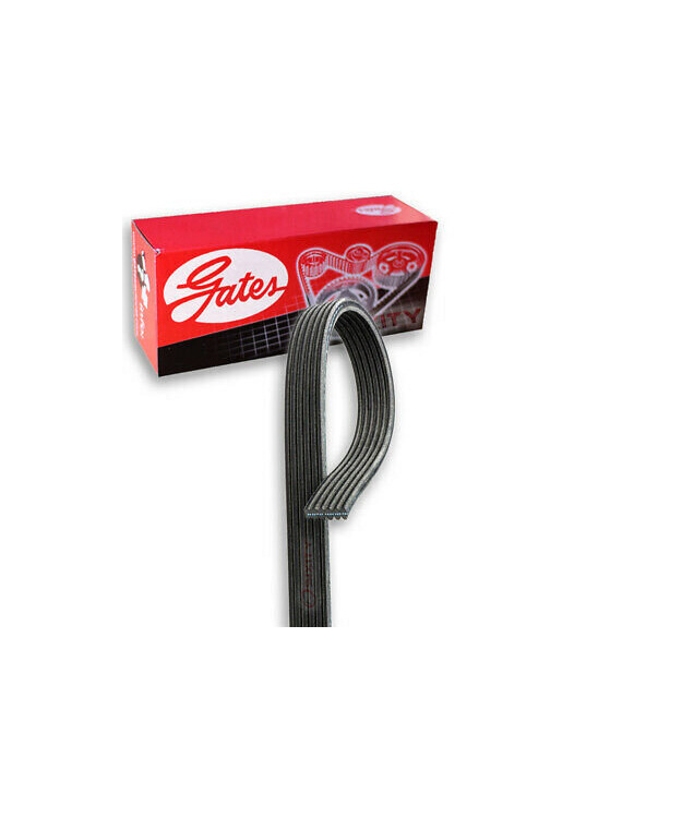 Käyttöhihna K081325/5081325/8PK3365