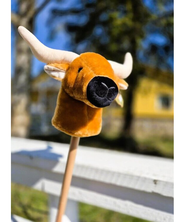 Keppilehmä Longhorn