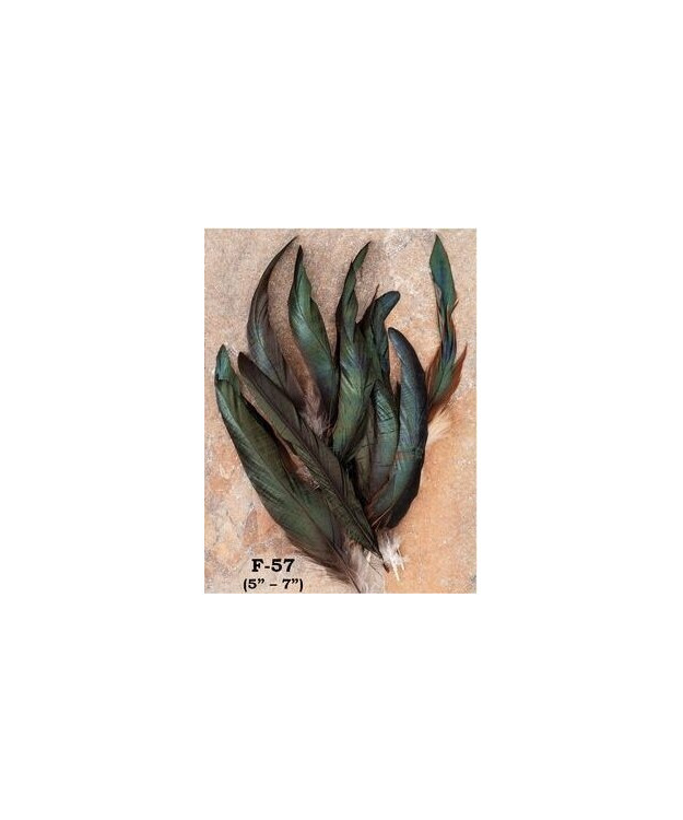 Koriste Sulka Hattuun