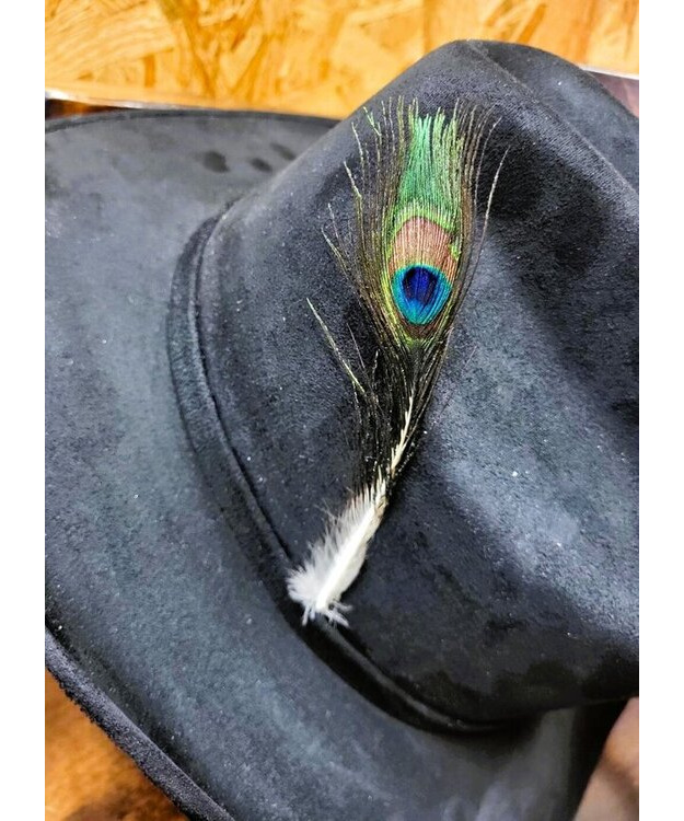 Koristesulka Hattuun, Riikinkukko