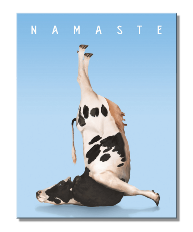 Peltikyltti - Yoga Cow