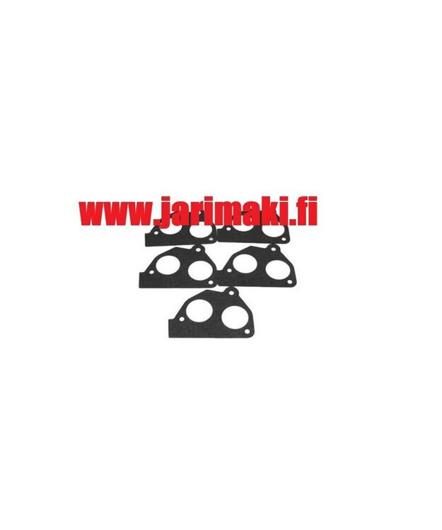 Polttoaineruiskurungon tiiviste GM TBI