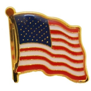 Pinssi USA-lippu